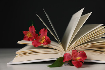 Book and beautiful alstroemeria flowers on light table against black background, closeup