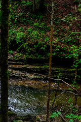 Hiking Rottach Waterfalls Bavaria Germany