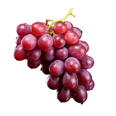 Fototapeta premium a bunch of grapes on a black background