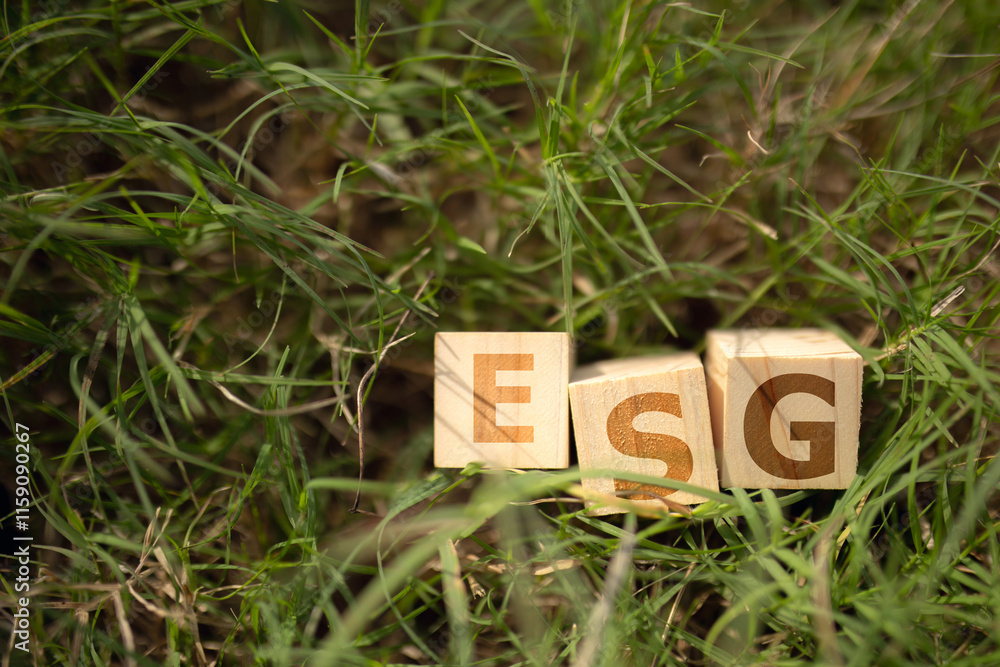 Poster the letters esg are spelled out using wooden blocks and are placed on a grassy surface.