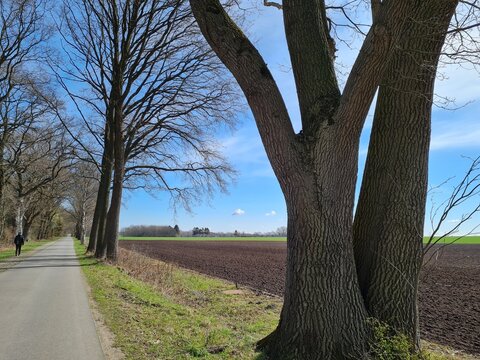 Stra&szlig;e von Wiegersen nach Beckdorf, Landkreis Stade