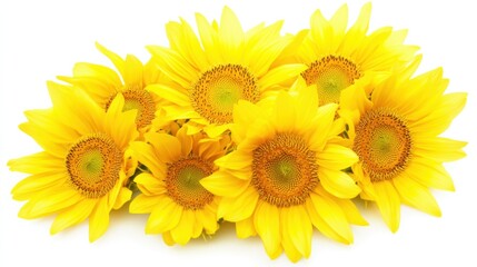 Obraz premium A close-up of a bunch of yellow sunflower blooms with vibrant centers, isolated white background, abstract art style
