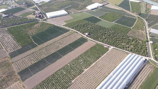 Green Farmland Overhead View