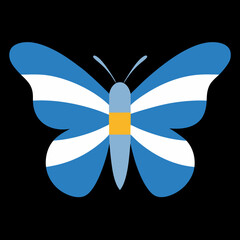 butterfly on blue background