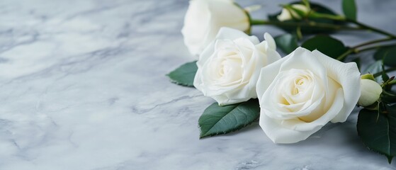 White roses bouquet on a grey background with bokeh and copy space