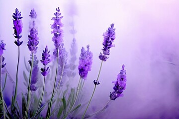 98 lavender floral fog a soft purple hued vapor that brings the