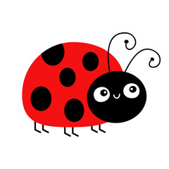 Lady bug, lady bird icon. Cute cartoon kawaii funny baby character. Black and red insect. Happy Valentines Day. Card Sticker print. Childish style. Flat design. White background. Isolated. Vector © worldofvector