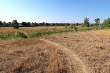 Obraz premium Prairie trails on a sunny fall day, Colorado