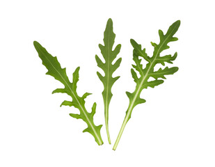 Naklejka premium Fresh rucola or arugula leaf isolated on white background.