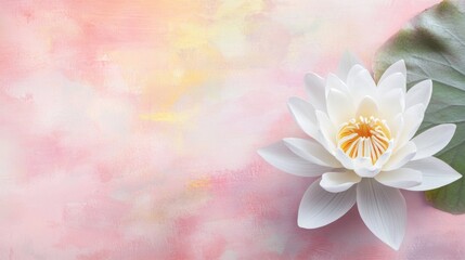 Fototapeta premium A serene white lotus on a tranquil watercolor pink background, close-up shot, Stock photo library style