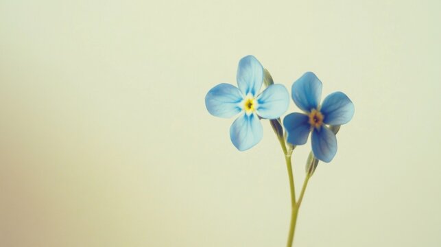 A soft blue forget-me-not against a pale yellow background, close-up shot, Minimalist style
