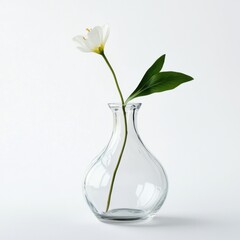 Simple glass vase with a single white flower and green leaf on a light background showcasing minimalist design