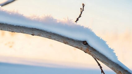 Obraz premium portrait photo about events in January. with a very elegant macro photography style using English