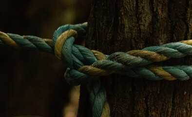 rope on a wooden background