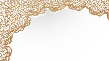 Intricate golden lace pattern elegant border  isolated on transparent background