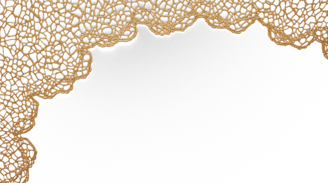 Intricate golden lace pattern elegant border  isolated on transparent background