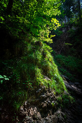 Hiking Josephstal Waterfalls Bavaria Germany