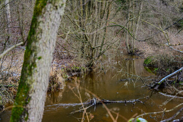 An der Wondreb im oberpfälzischen Stiftland
