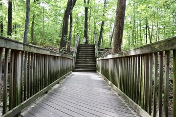 Obraz premium The old wood footbridge on the trail in the forest.