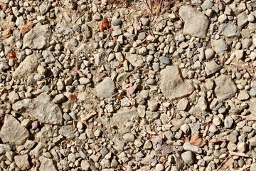 A close view of the rock and stone dirt surface.