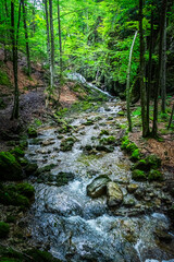 Hiking Josephstal Waterfalls Bavaria Germany