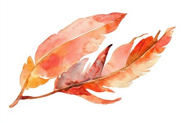 Watercolor illustration of two feathers on a branch, great for nature or wildlife themed designs