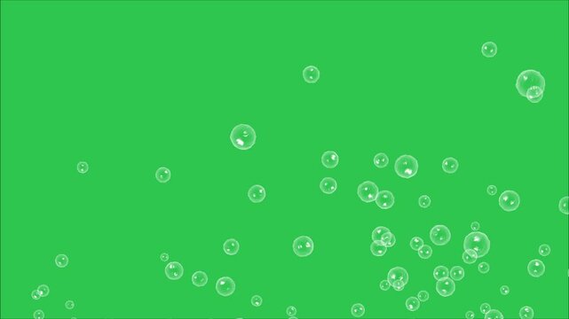 Soap bubbles animation on green screen background, Water bubble raising, Bubbles raising on green screen, 