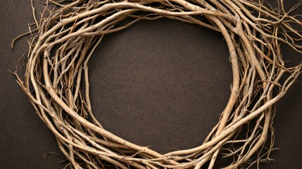 Natural Twisted Branch Wreath on Dark Background, Perfect for Seasonal Decoration and Craft Projects, Bringing Organic Touch to Home Decor, Ideal for Various Uses