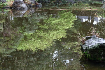 緑萌える