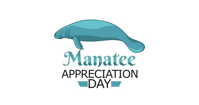 manatee appreciation day motion video, ideal for manatee appreciation day celebration