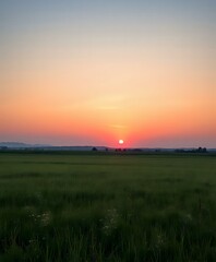 Enchanting Sunset Over Lush Meadow