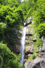 waterfall in the forest