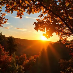 Vibrant Forest Sunset in Warm Golden Hues