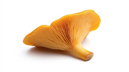 Fototapeta premium Vibrant Golden Chanterelle Mushroom Isolated on a White Background, Showcasing Unique Cap Shape and Gills Ideal for Culinary and Nature Photography