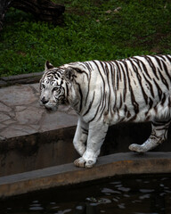 Visita al zoológico