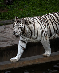 Visita al zoológico
