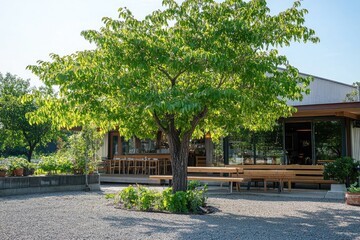 Obraz premium Lush Green Tree Shades Outdoor Restaurant Patio