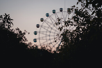 silhouette of a person in a park