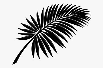 Black palm leaf silhouette on white background. 
