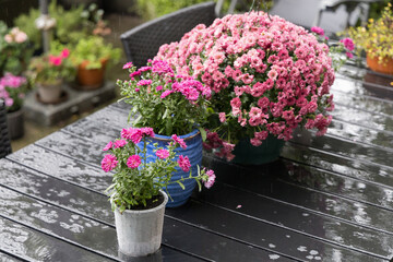 A table with chairs is in a lovely garden full of flowers