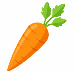 carrot isolated on white