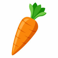 carrot isolated on white