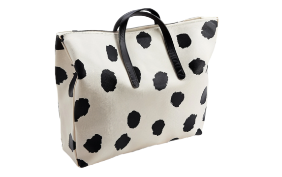 Stylish Organizer Bag on transparent background.PNG