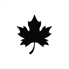 Amazing maple leaf silhouette vector art illustration.