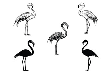set of flamingo