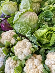 Fresh heads of cabbage and cauliflower.