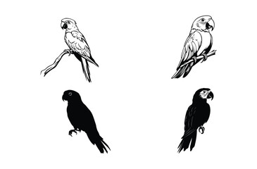 set of birds