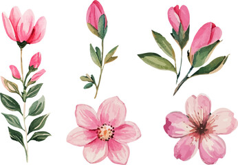 Fototapeta premium pink and white flowers