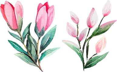 set of pink tulips