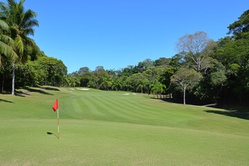 Fototapeta premium Scenic view of a lush golf course with vibrant greenery and clear blue skies